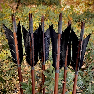 May include: A set of eight black fletched arrows with brown wooden shafts. The arrows have a black and brown fletching and a metal tip.
