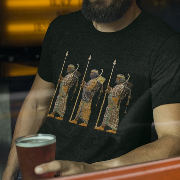 Persian Immortals T-shirt, Unisex, Tri-Blend