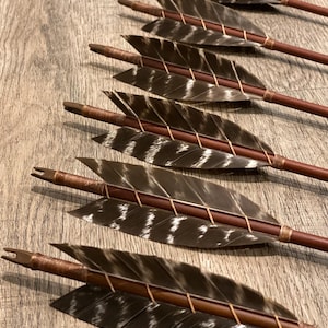 Flechas tradicionales norteamericanas: flechas de carbono totalmente funcionales para tiro con arco y cosplay.