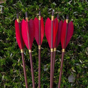 May include: A set of six arrows with dark brown shafts and vibrant red fletching. Each arrow features three red feathers secured with gold-colored bands at the top and bottom of the fletching area, and a dark brown nock at the end of the shaft.