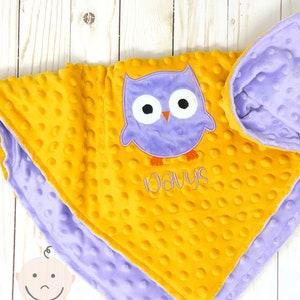 Baby Girl Owl Blanket | Owl  Baby Blanket | Personalized Minky Blanket | Embroidered Blanket | Owl Lovey | Minky Baby Blanket