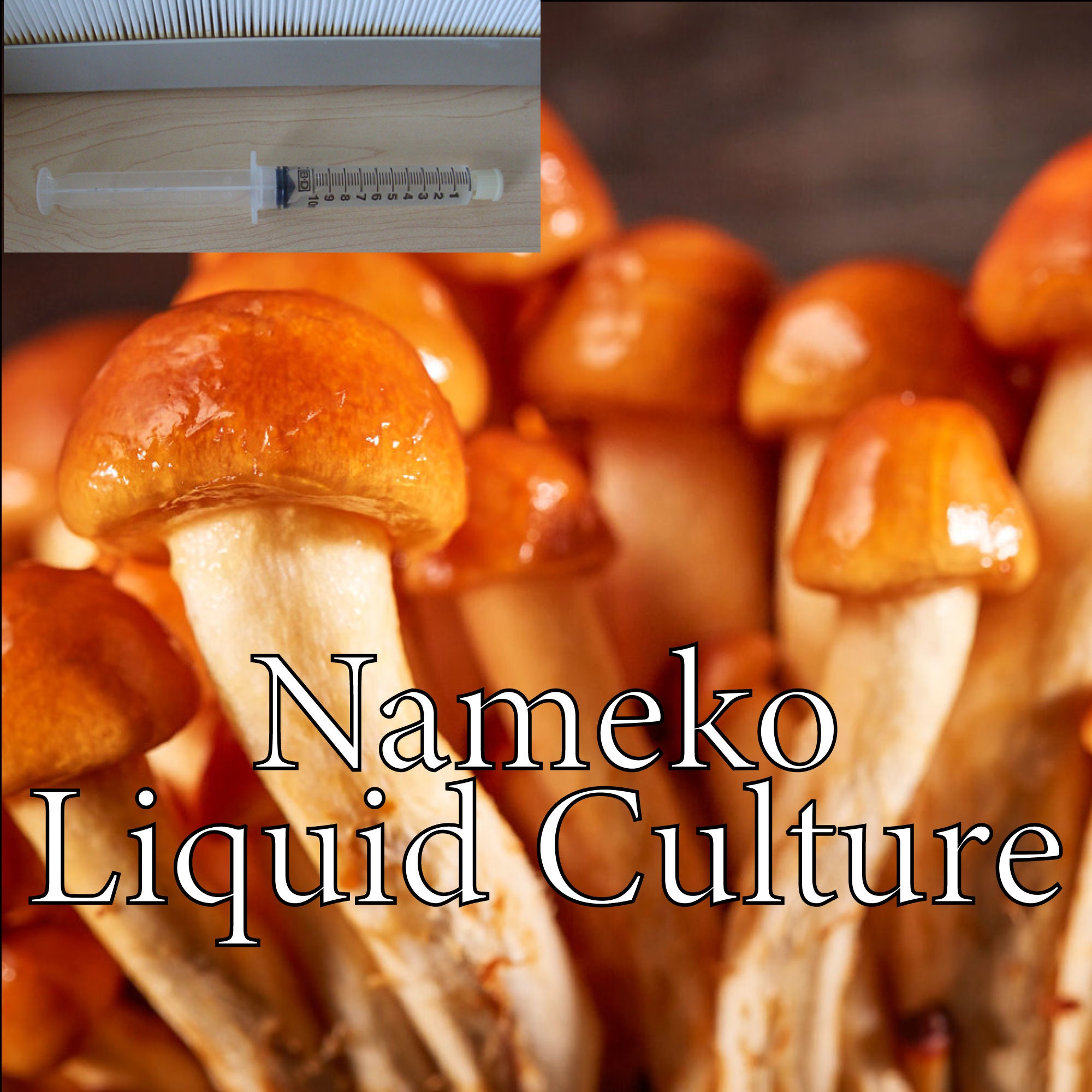 Nameko Mushroom Liquid Culture 12ml Liquid Culture Nameko Etsy