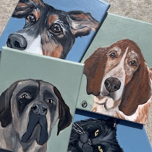 Hand Painted Custom Pet Portrait
