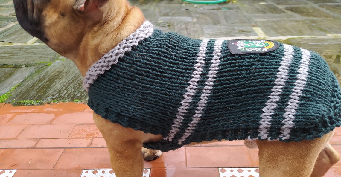 Harry Potterinspired dog sweater Serpeverde dog coat dog Etsy