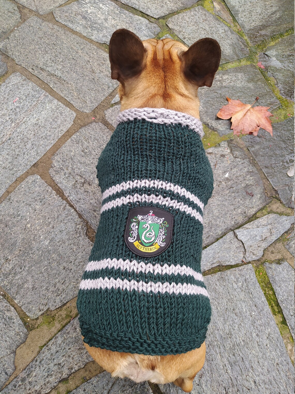 Harry Potterinspired dog sweater Serpeverde dog coat dog Etsy
