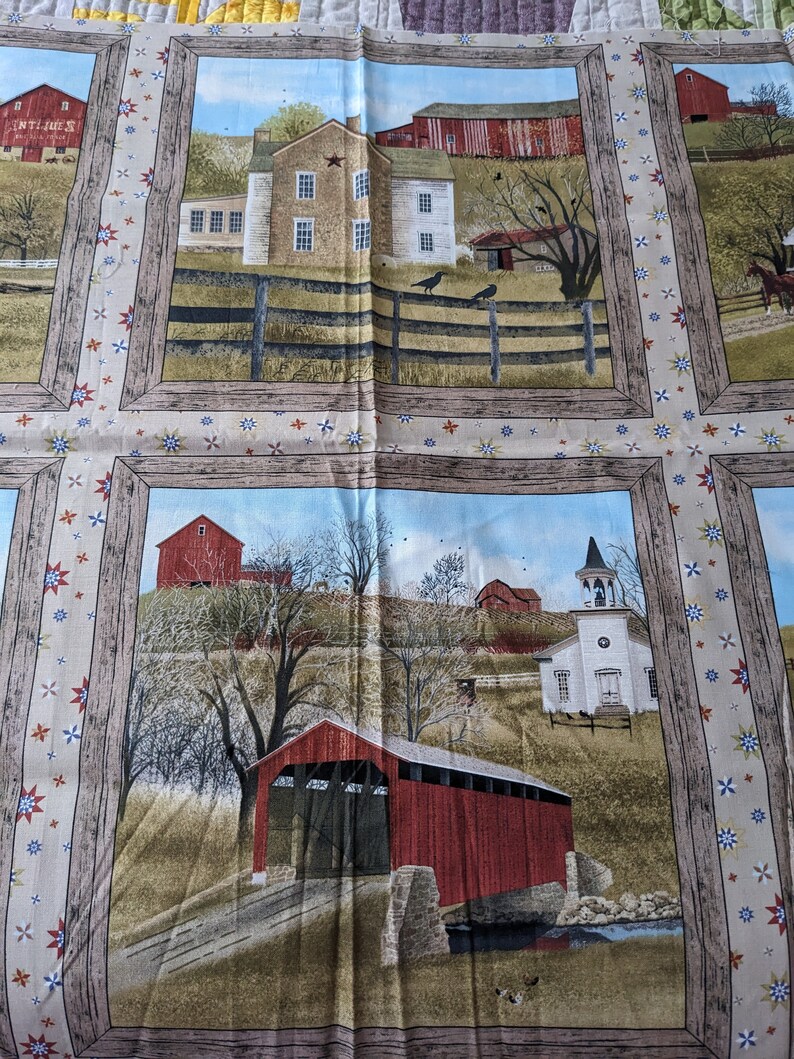 Quilt Barn Fabric Panel And Half Yard Coordinating Fabric Billy Jacobs 