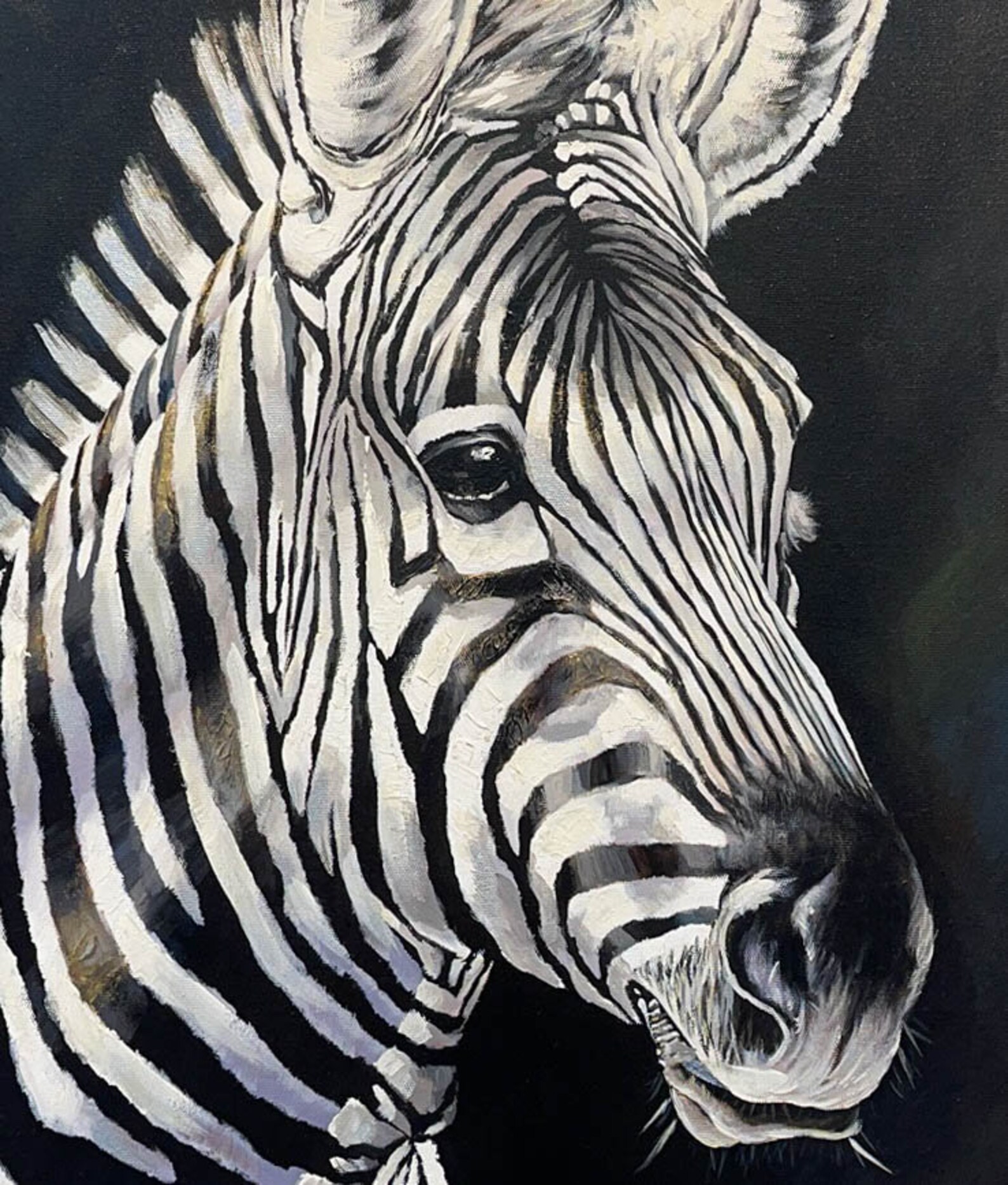 Wildlife Black And White Zebras Face Zebra Head Oil Painting Etsy