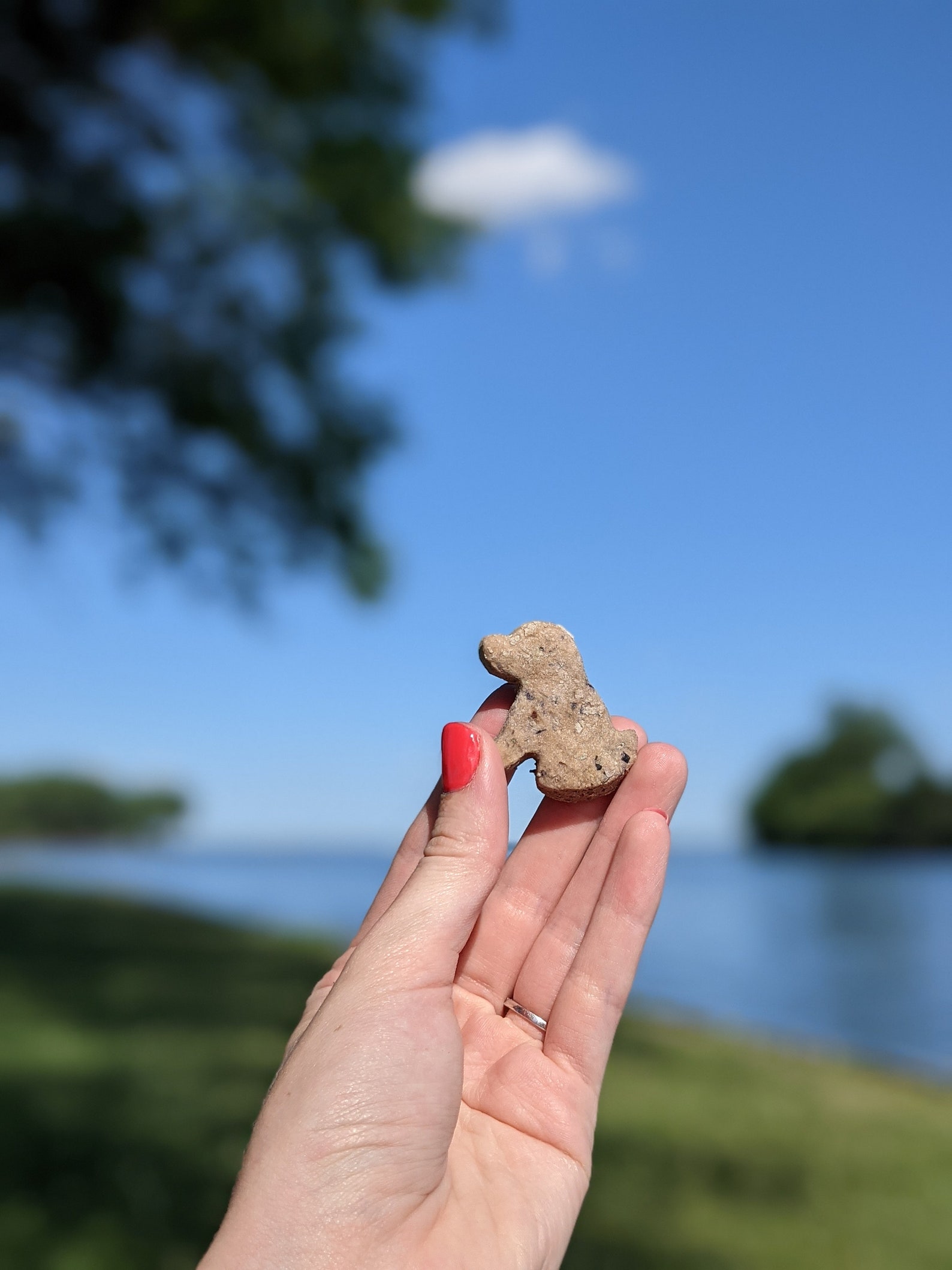 Blaubeere Lavendel Kamille Beruhigend Hund Leckerli Kekse Etsy