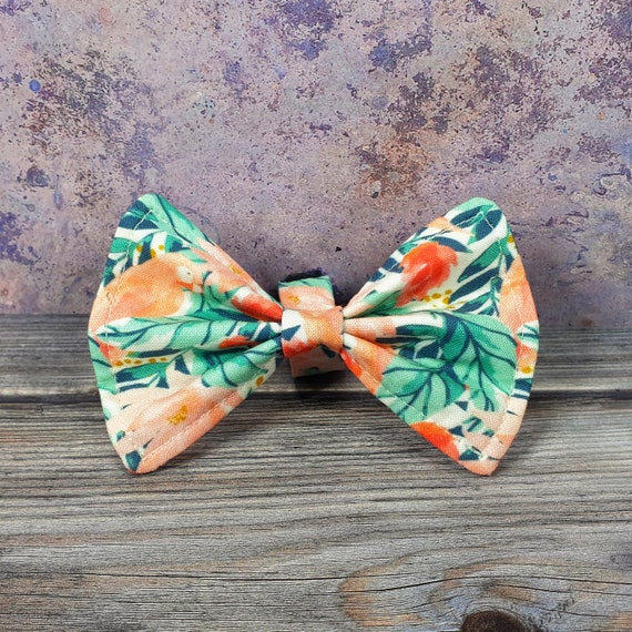 parrot bow tie