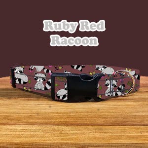 Dog Collar | Ruby Red Racoon | Adjustable | Metal Buckle | Plastic Side Release | Puppy
