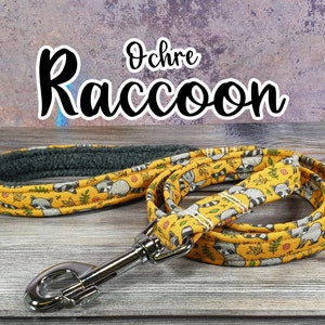Ochre Raccoon Dog Lead | Leash | Walking Accessory