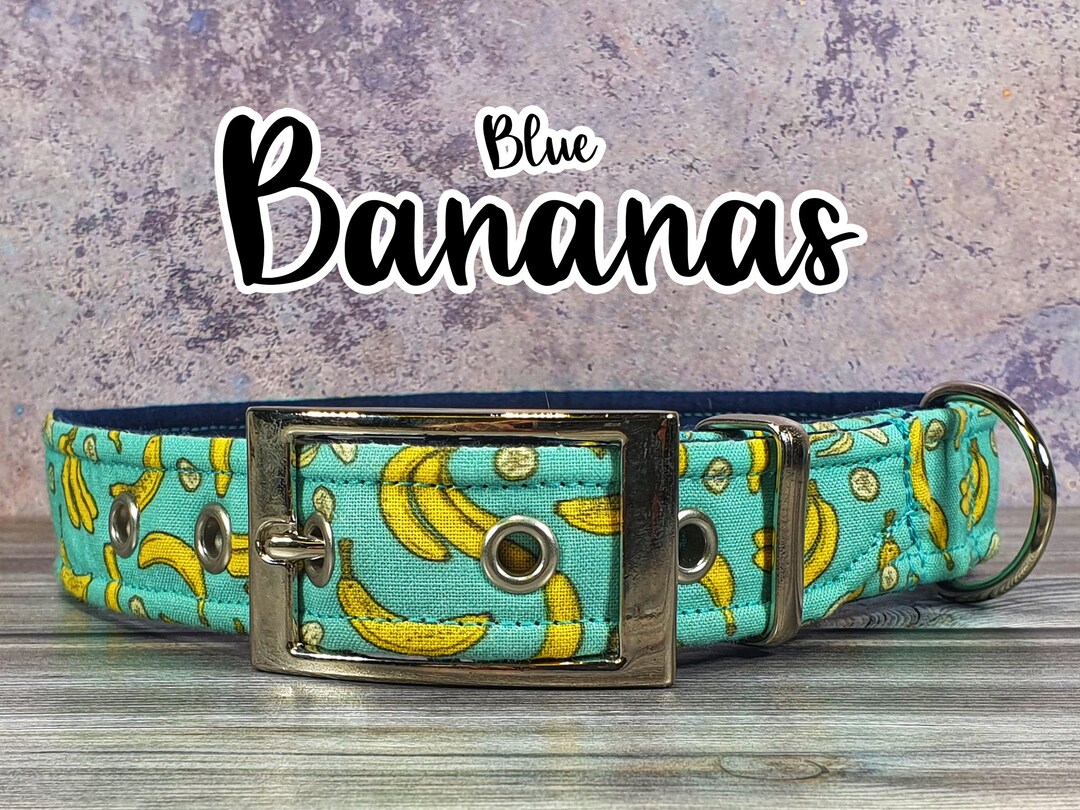 Blue Banana Dog Collar Adjustable Metal Buckle Plastic Etsy