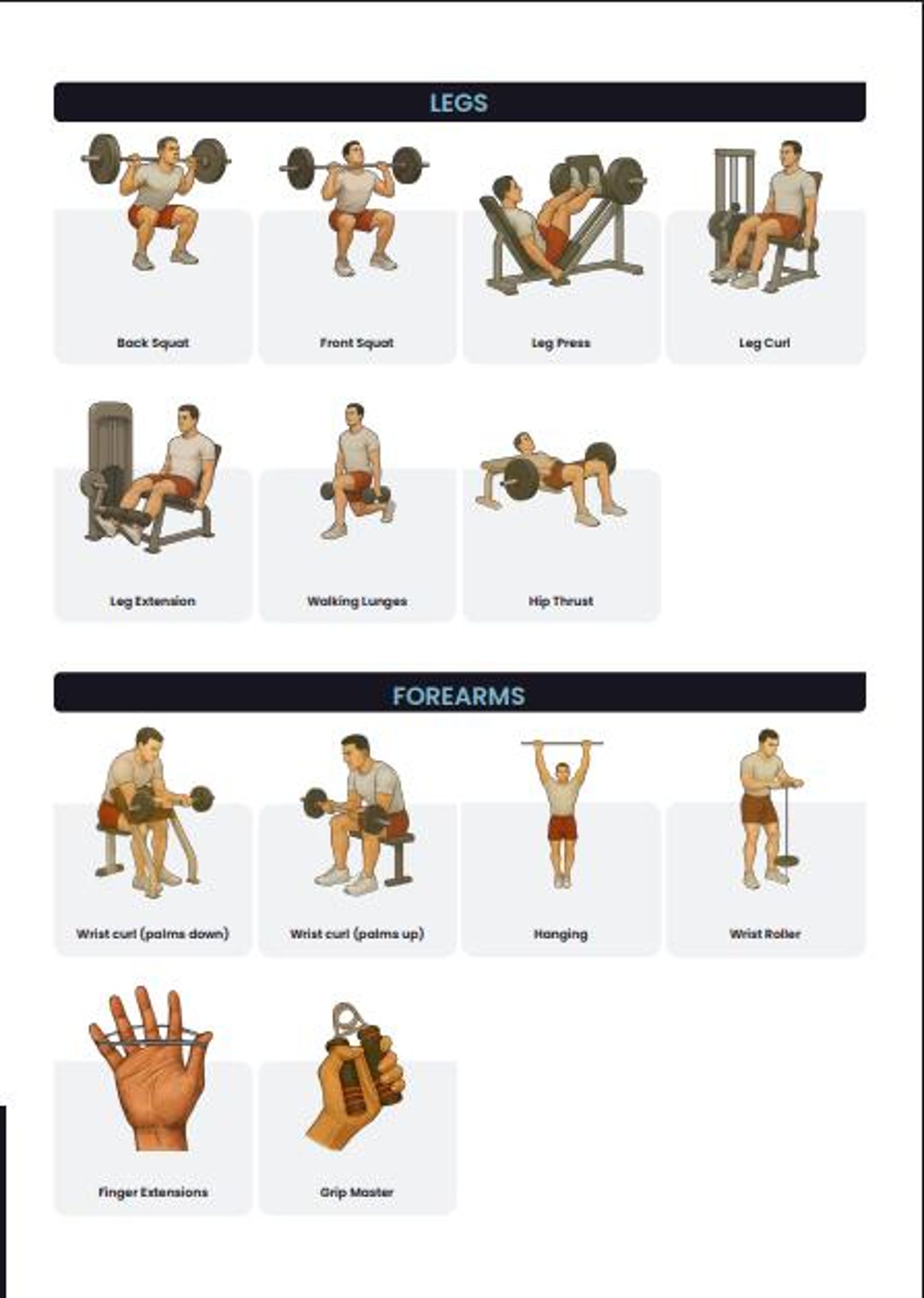 5-day Training Split, 12-week Muscle Building Workout Plan (e-book) - Etsy