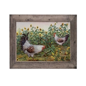 Two Chickens In A Sunflower Field Rustic Art Barn Wood Framed Picture Print