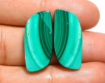 Elegant Top Grade Quality 100% Natural Malachite Fancy Shape Cabochon Loose Gemstone Pair For Making Earrings 29 Ct. 22X10X4 mm AA-12901