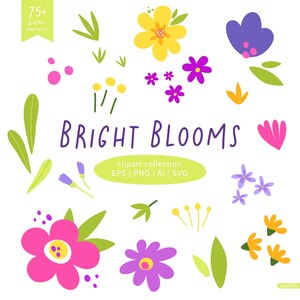 Colección de imágenes prediseñadas de flores brillantes. Archivos SVG florales para diseño de bolsos, camisetas y decoración de habitaciones de niñas para primavera. Descarga digital.