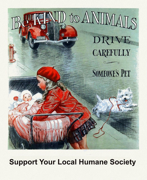 Be Kind to Animals, Support Your Local Humane Society, vintage poster on heavy cotton canvas, 50 x 70cm, 20 x 25" approx.