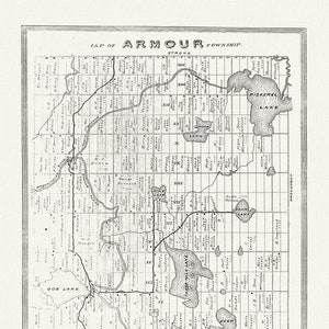 Muskoka-Haliburton, Armour Township, 1893, map on heavy cotton canvas, 20 x 25&quot; approx.