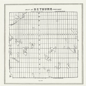 Muskoka-Haliburton, Bethune Township, 1893, map on heavy cotton canvas, 20 x 25&quot; approx.