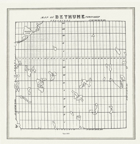 Muskoka-Haliburton, Bethune Township, 1893, map on heavy cotton canvas, 20 x 25" approx.