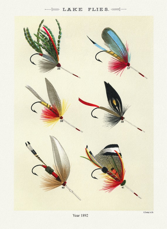 Lake Flies, 1892  by Mary Orvis Marbury , vintage nature print on canvas,  50 x 70 cm, 20 x 25" approx.