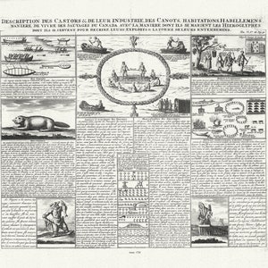 Opis des Castors & de Leur Industrie de Canots Habitations Habillemens, 1720, na grubym płótnie bawełnianym, ok. 20 x 25 cali.