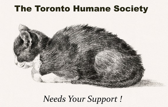 The Toronto Humane Society Needs Your Support, Ver. I , vintage  print on canvas,  50 x 70 cm, 20 x 25" approx.