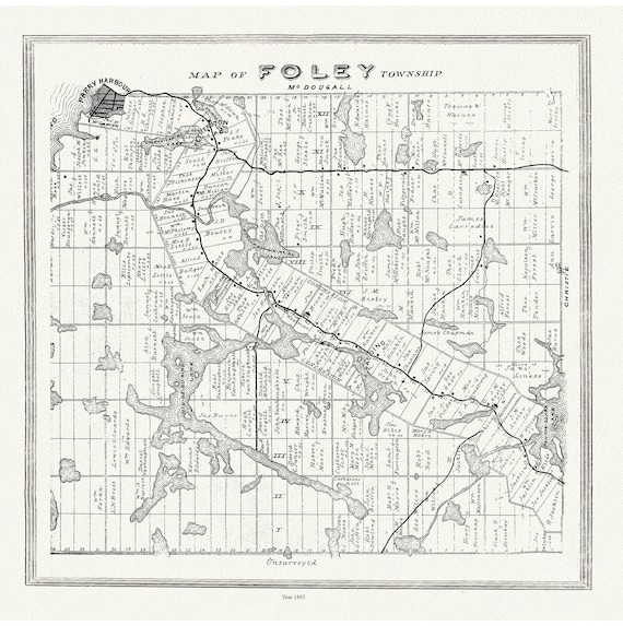 Muskoka-Haliburton, Foley Township, 1893, map on heavy cotton canvas, 20 x 25" approx.