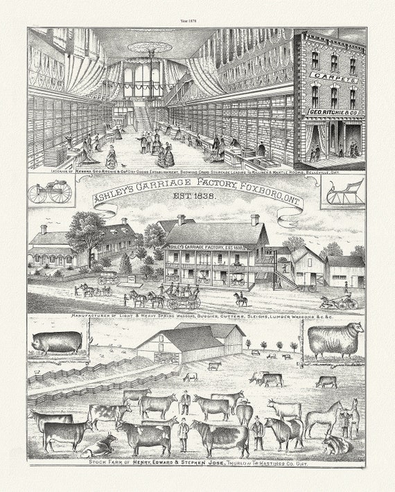 Hastings County, Businesses, 1878, map on heavy cotton canvas, 45 x 65 cm, 18 x 24" approx.