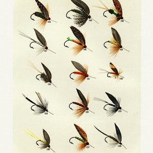 Trout Flies, 1892  by Mary Orvis Marbury, vintage nature print on canvas,  50 x 70 cm, 20 x 25&quot; approx.