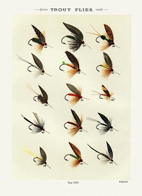 Trout Flies, 1892  by Mary Orvis Marbury, vintage nature print on canvas,  50 x 70 cm, 20 x 25" approx.
