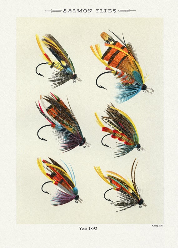 Salmon Flies, 1892 by Mary Orvis Marbury, vintage nature print on canvas,  50 x 70 cm, 20 x 25" approx.