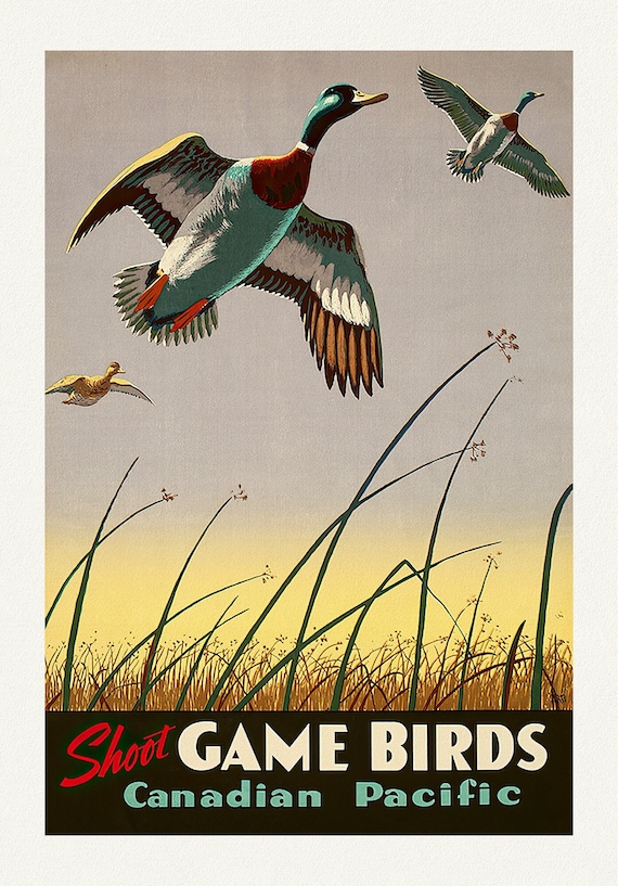 Canadian Pacific, Shoot Game Birds , travel poster reprinted on durable cotton canvas, 50 x 70 cm, 20 x 25" approx.