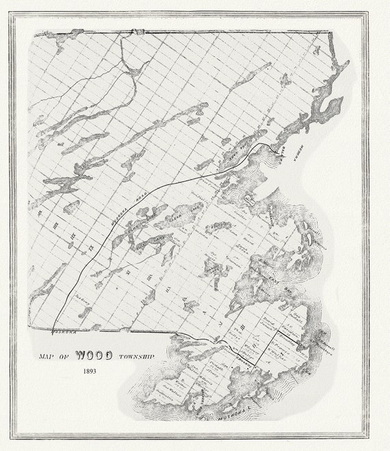 Muskoka-Haliburton, Wood Township, 1893 , map on heavy cotton canvas, 20 x 25" approx.