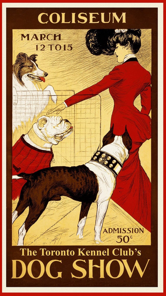 Dog Show, Toronto Kennel Club, 1902, vintage  print on canvas,  50 x 70 cm, 20 x 25" approx.