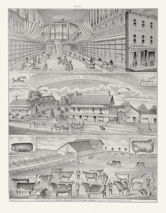 Hastings County, Businesses, 1878 Ver. II , vintage  print on canvas,  50 x 70 cm, 20 x 25" approx.