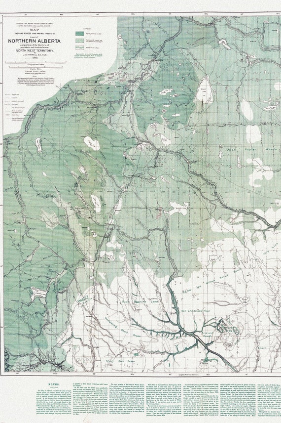 Northern Alberta, Map showing wooded and prairie tracts, etc.,by J.B. Tyrrell, 1884 , map on heavy cotton canvas, 20x27" approx.