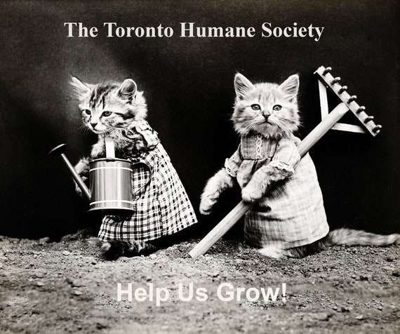 The Toronto Humane Society, Help Us Grow!, Ver. VIII , vintage  print on canvas,  50 x 70 cm, 20 x 25" approx.