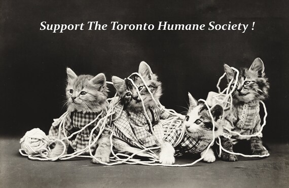 Support the Toronto Humane Society Ver. III, vintage  print on canvas,  50 x 70 cm, 20 x 25" approx.