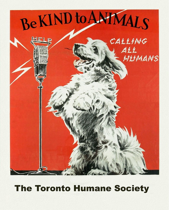 Toronto Humane Society, Be Kind to Animals, vintage poster on heavy cotton canvas, 50 x 70cm, 20 x 25" approx.