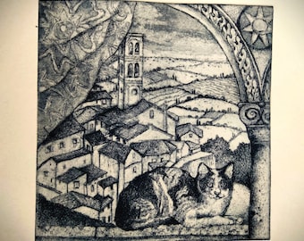 gatto con città di Cortona