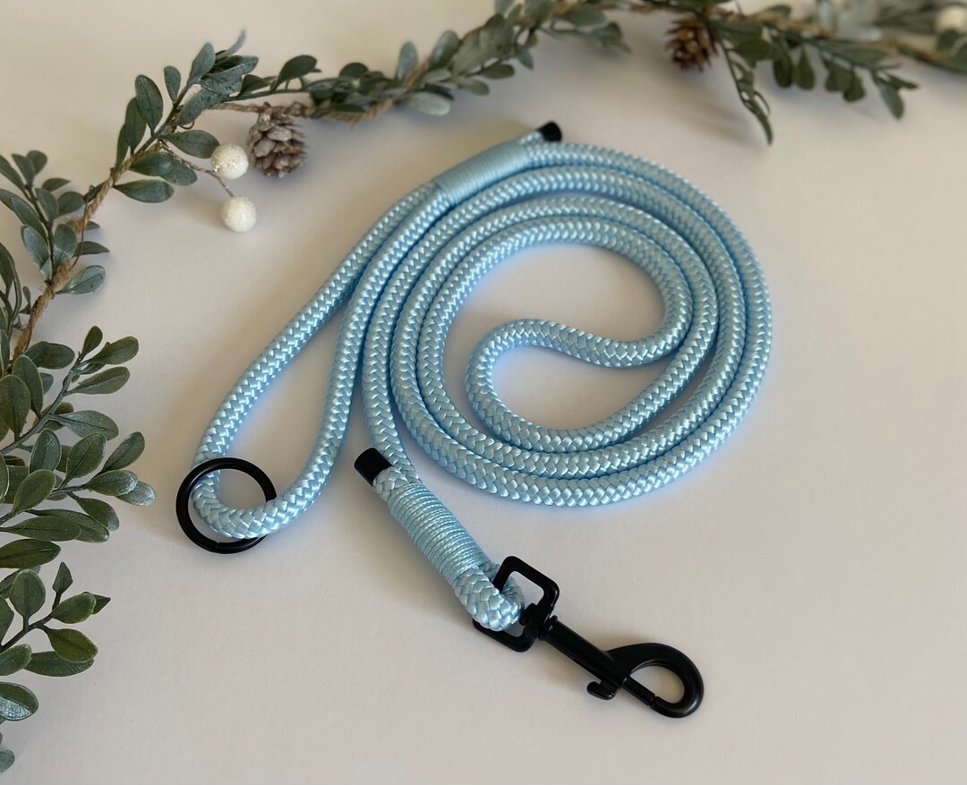 Rust Dog Rope Lead Dog Rope Lead | PPM Rope | Dog Walking | Puppy| Dog Leash ...