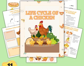Arkusz ćwiczeń „Cykl życia kurczaka” do druku, ćwiczenia dla dzieci „Cykl życia kurczaka”, wycinanie i wklejanie, karty sekwencyjne, materiały do nauki w domu (PDF)