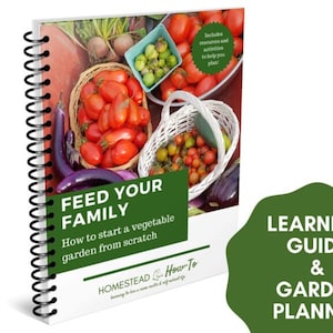 May include: A spiral bound guide with a green cover and the title "Feed Your Family: How to start a vegetable garden from scratch". The cover features a photo of fresh vegetables in baskets and the text "Homestead How-To".