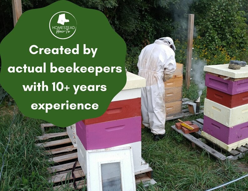 Hive Check Checklist Inspection Log For Beekeepers Downloadable Pdf Etsy