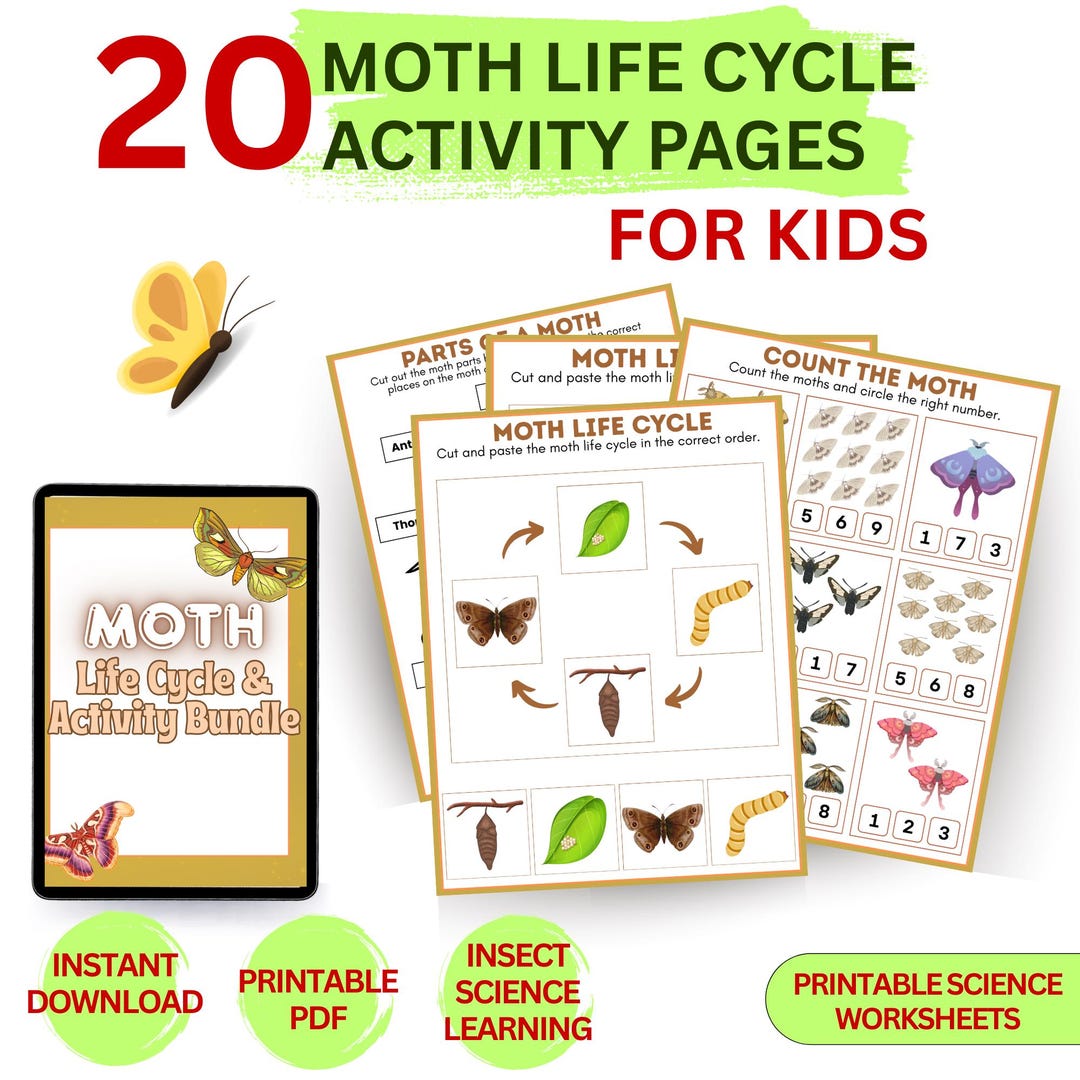 Moth Life Cycle Activity Pack for Kids, Insect Science Printable ...