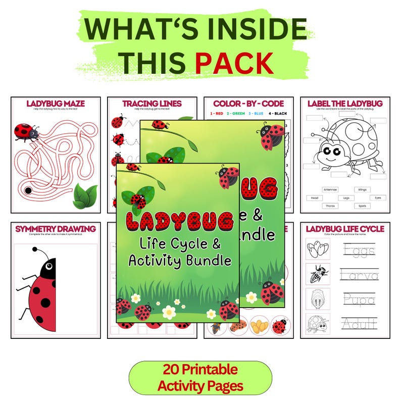 Ladybug Life Cycle Activity Pack for Kids, Insect Science Printable ...