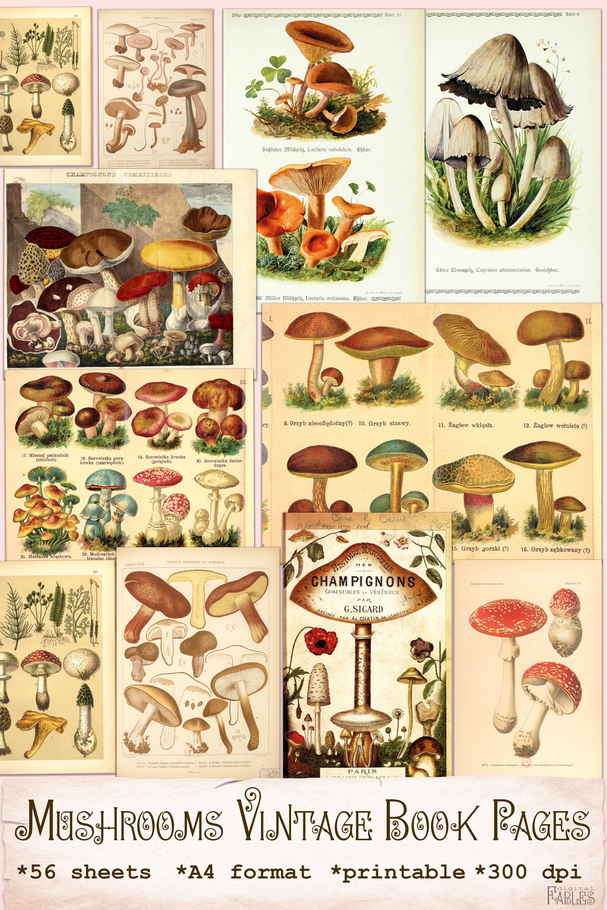 Mushrooms Vintage Book Pages, Printable Vintage Nature Ephemera, Junk