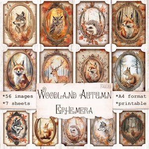 Etiquetas de retratos de animais de outono da floresta, etiquetas de outono, imprimíveis de diário de lixo, itens efêmeros de álbum de recortes vintage, enfeites, folhas de colagem