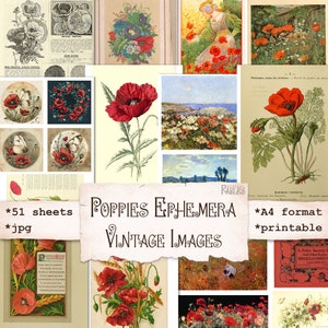 Mohnblumen Vintage Ephemera Pack, druckbare botanische Naturblätter, Junk Journal, Collage, Scrapbooking, sofortiger Download, Papiermodelle